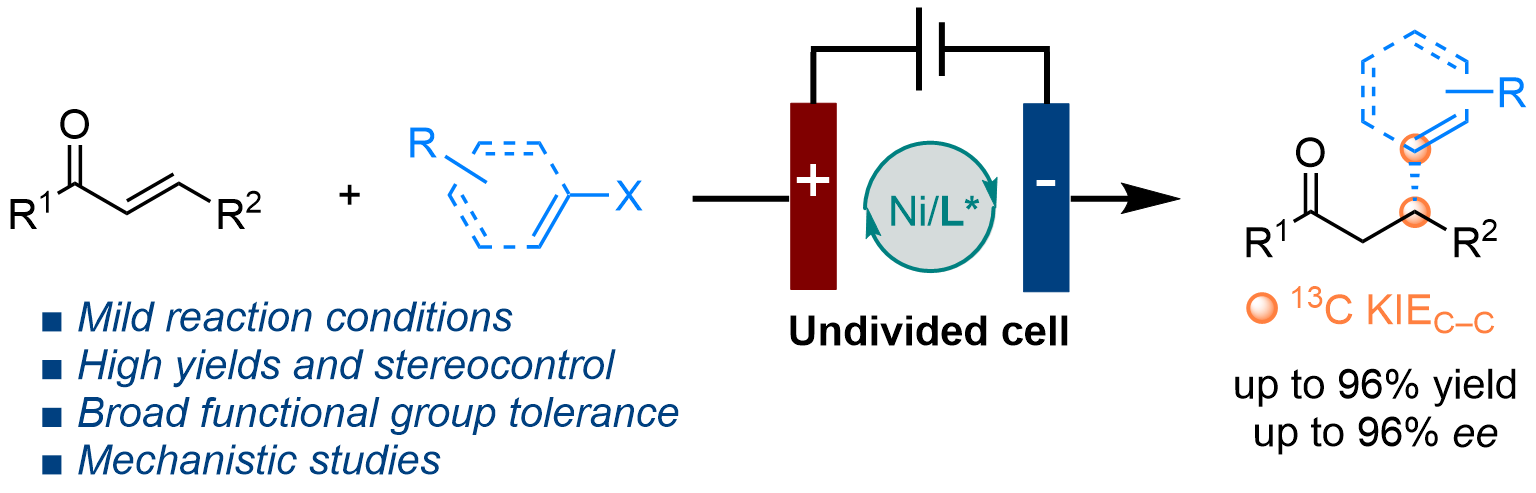 Graphical abstract