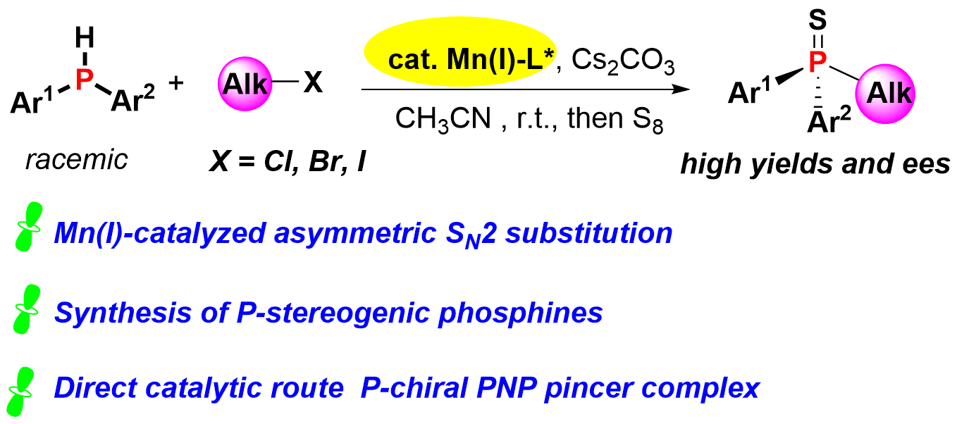 Graphical abstract